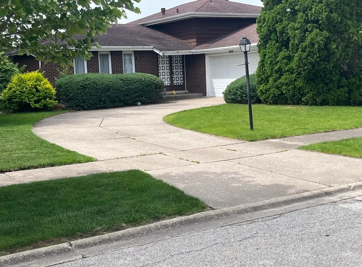 514 Willow Lane, Beecher, IL 60401 - #1