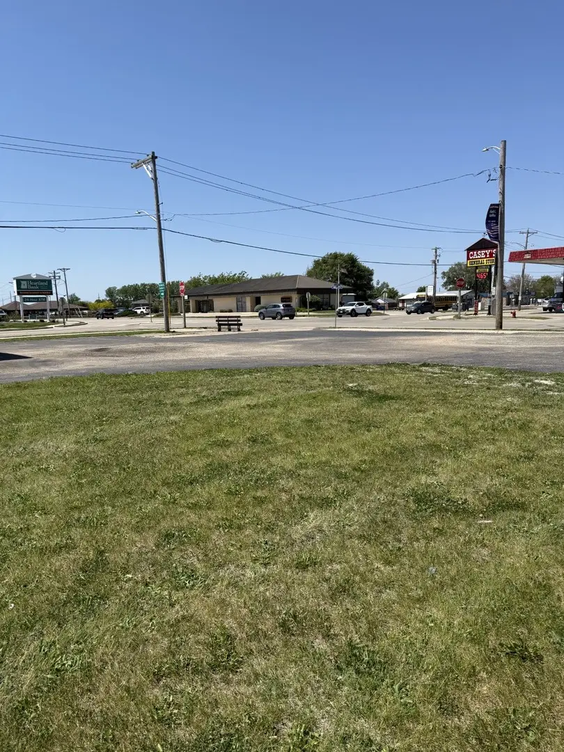 459 W Walnut Street, Oglesby, IL 61348 - #1