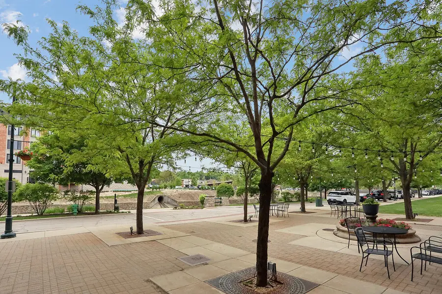 303 Front Street #1401, Lemont, IL 60439 - #3