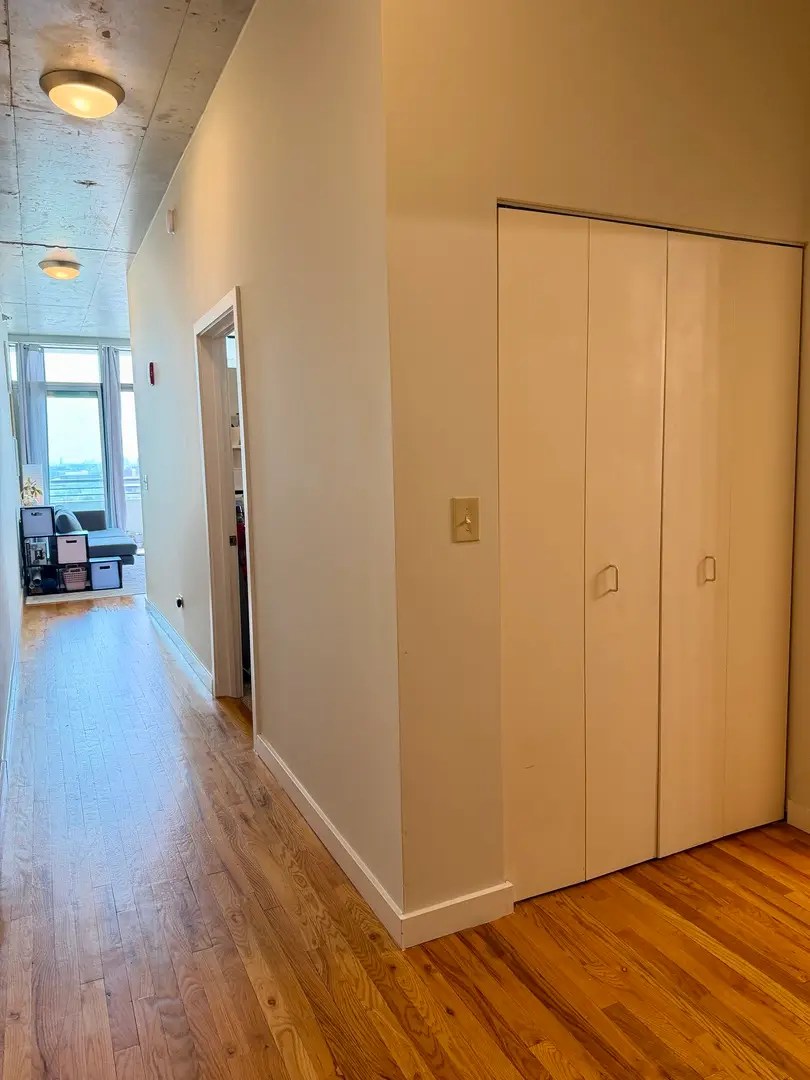 1720 S Michigan Avenue #1013, Chicago, IL 60616 - #2