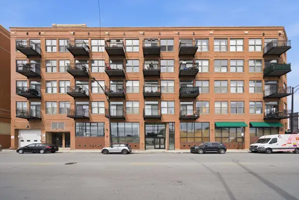 2310 S Canal Street #201, Chicago, IL 60616