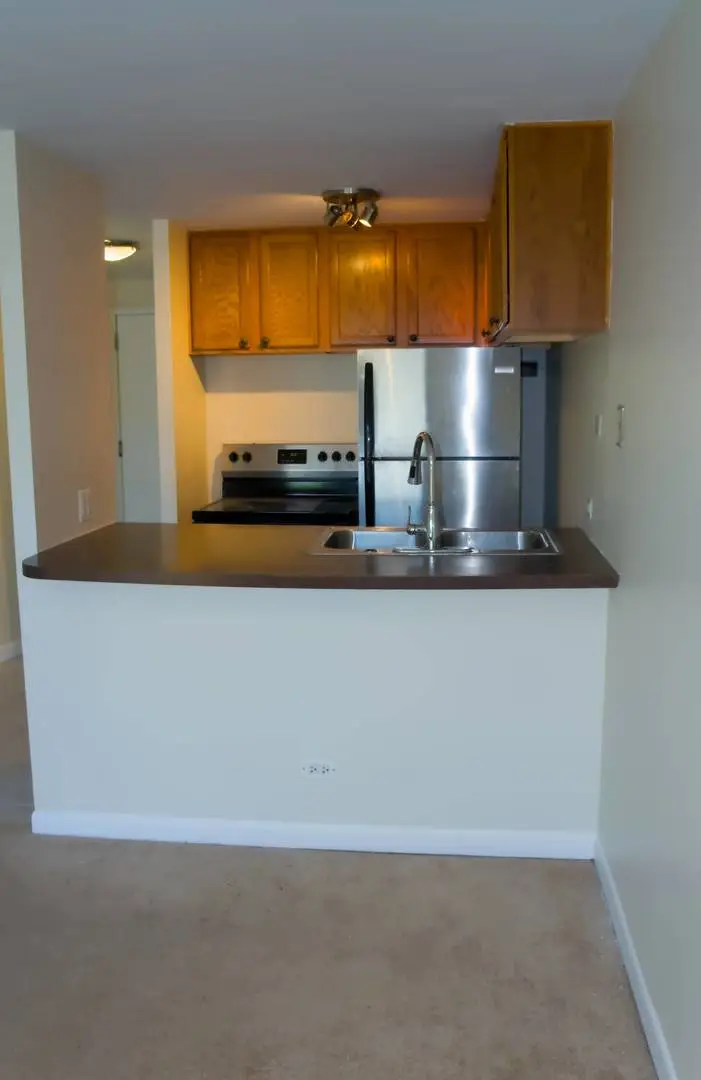 1221 N Dearborn Parkway #411S, Chicago, IL 60610 - #3