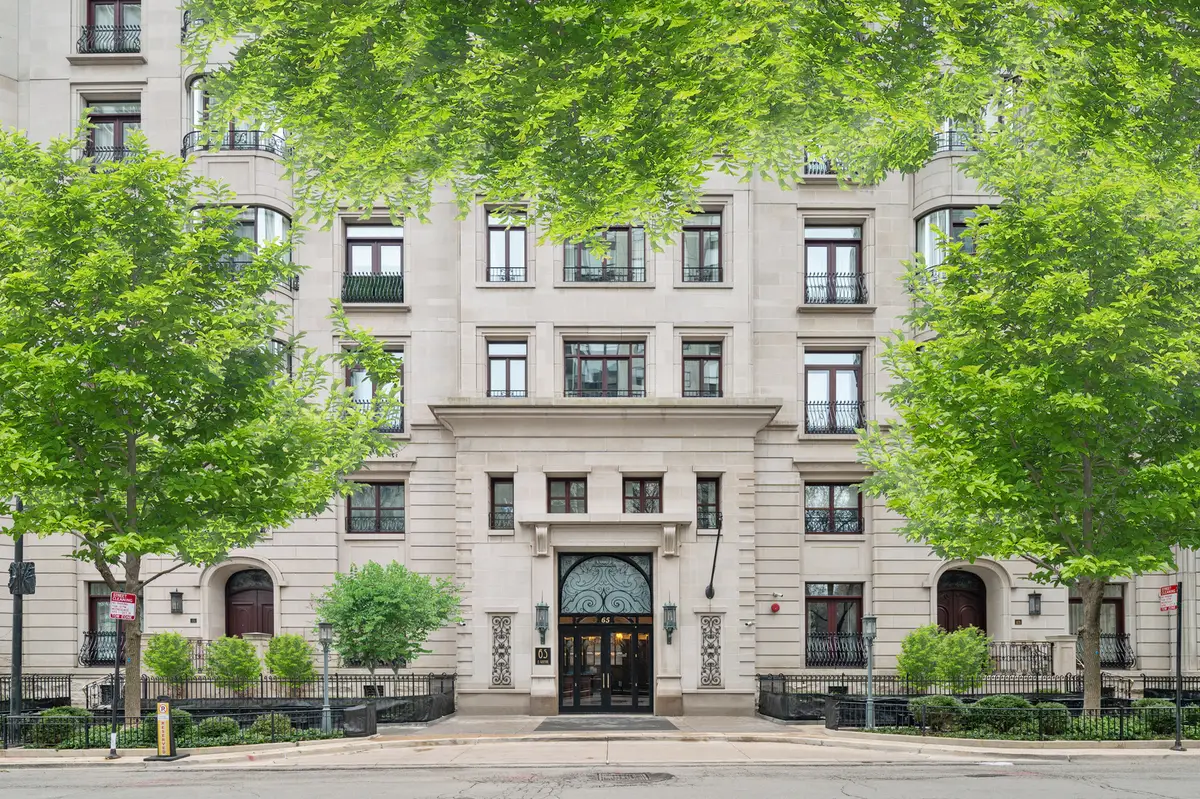 65 E Goethe Street #3W, Chicago, IL 60610 - #1