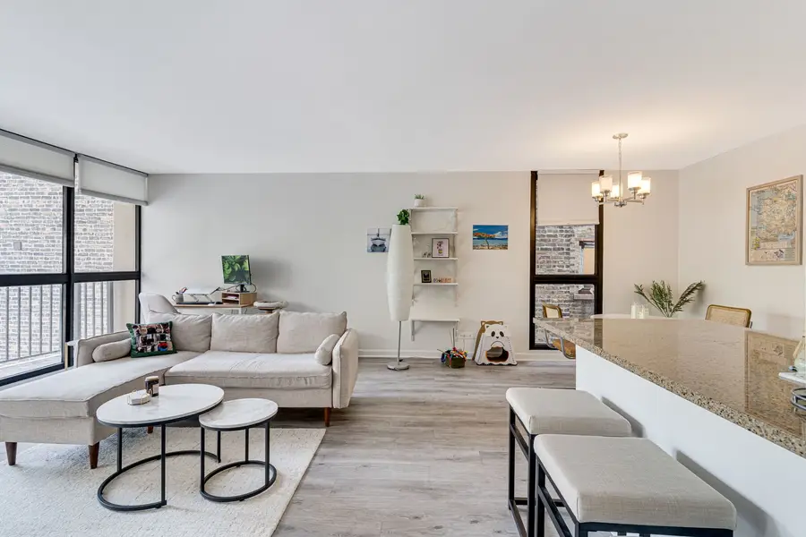 1540 N Lasalle Drive #201, Chicago, IL 60610 - #2