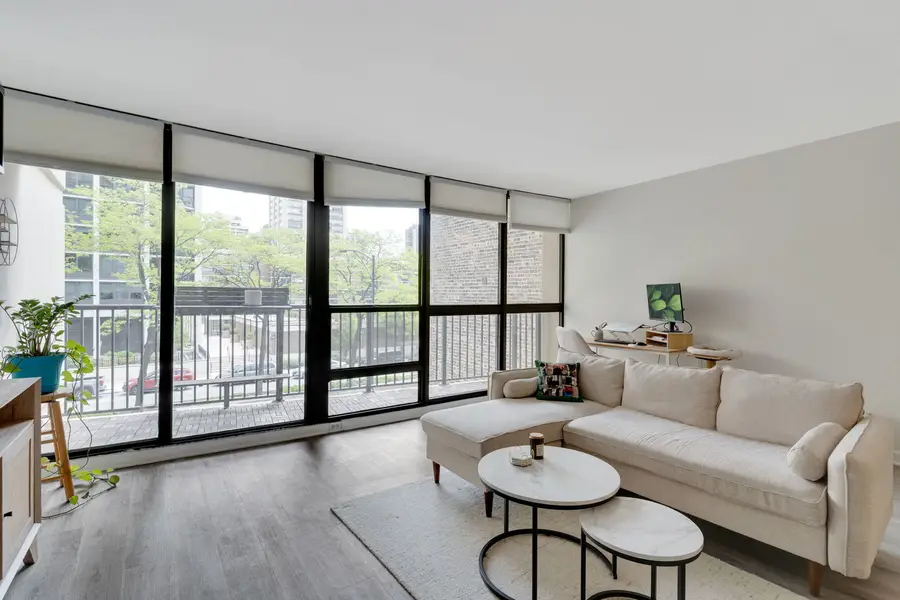 1540 N Lasalle Drive #201, Chicago, IL 60610 - #3