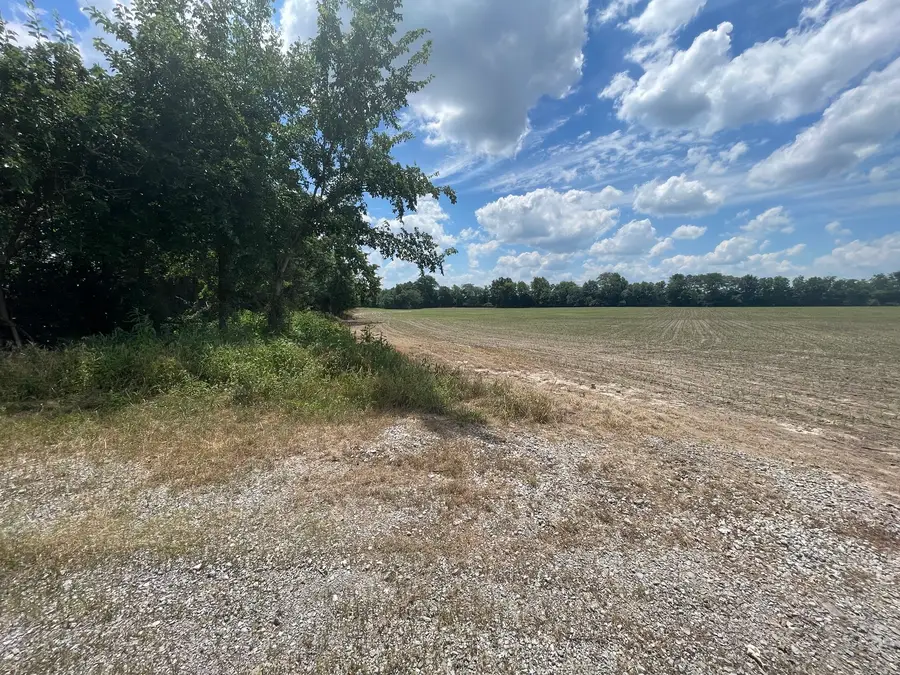 TBD Old Bainbridge Road, Marion, IL 62959 - #2