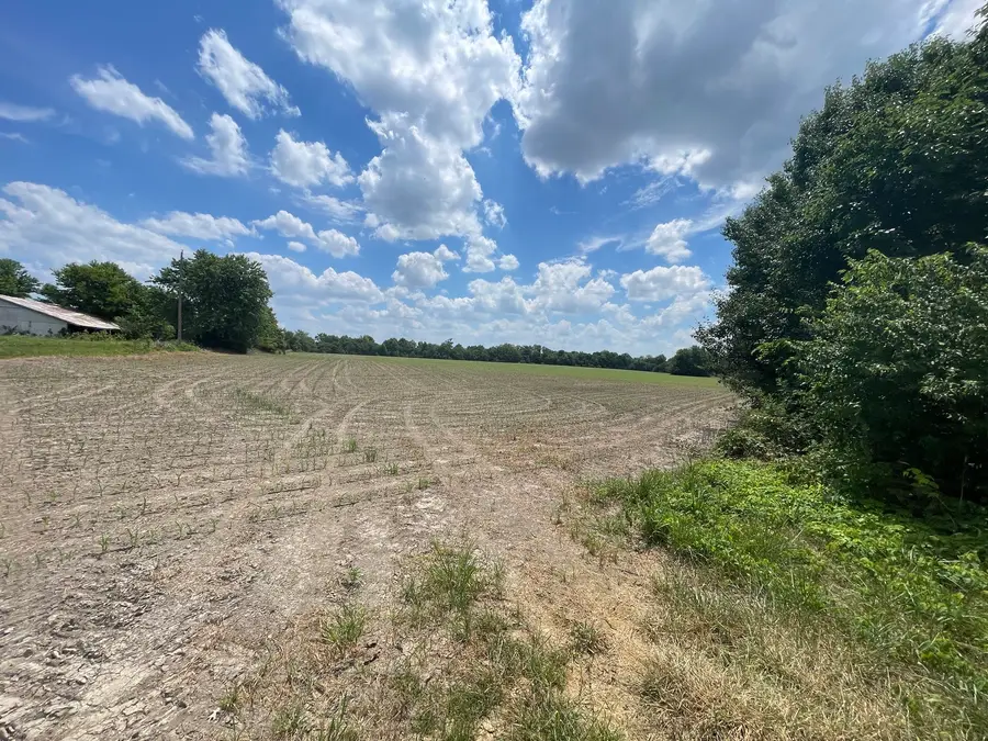 TBD Old Bainbridge Road, Marion, IL 62959 - #3