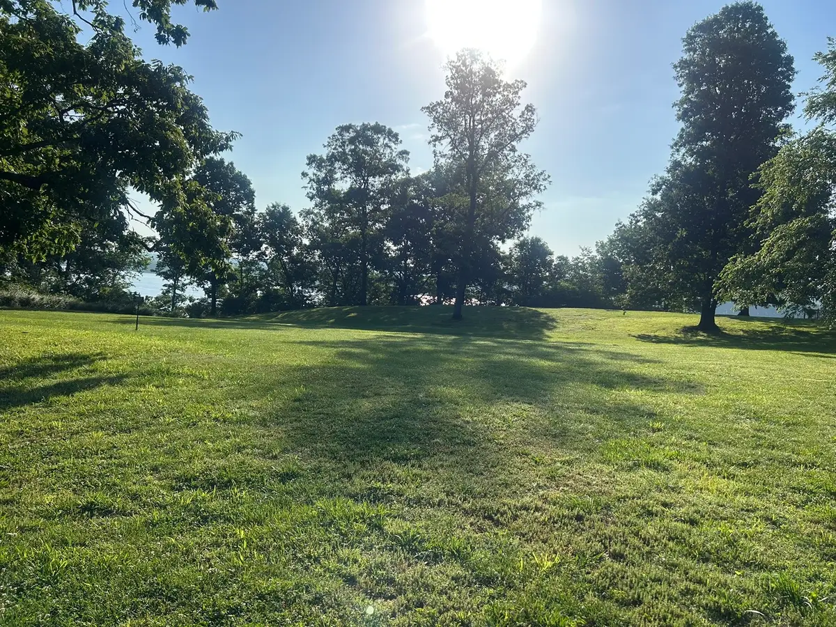 602 S Raum Park Drive, Golconda, IL 62938 - #1
