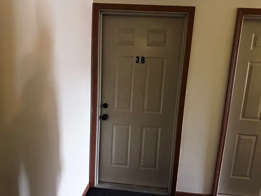 330 Leah Lane #3B, Woodstock, IL 60098 - #2