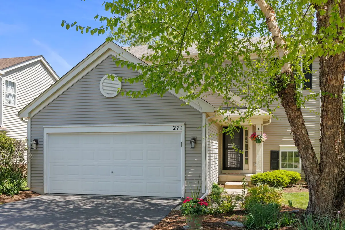 271 Copper Mountain Drive, Gilberts, IL 60136 - #1