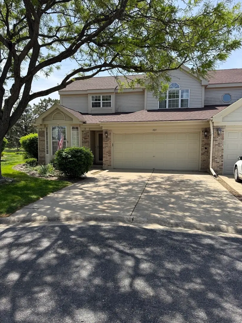 223 Williamsburg Court, Montgomery, IL 60538 - #1