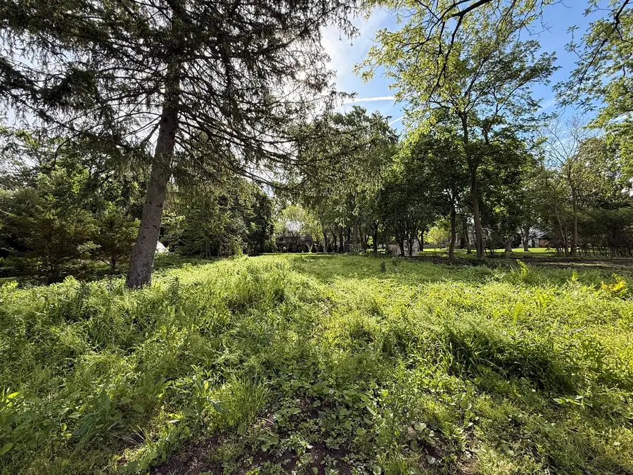 225 Lorraine Street, Glen Ellyn, IL 60137 - #2