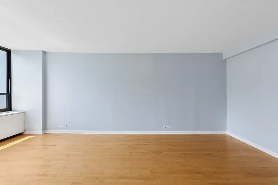 222 E Pearson Street #1104, Chicago, IL 60611 - #3