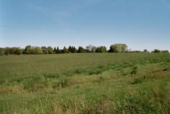 2010 Maritime Lane, Woodstock, IL 60098 - #1
