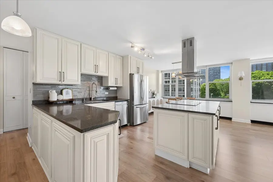 4250 N Marine Drive #435, Chicago, IL 60613 - #2