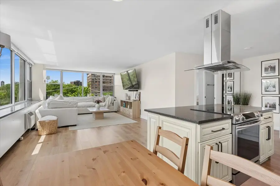 4250 N Marine Drive #435, Chicago, IL 60613 - #3