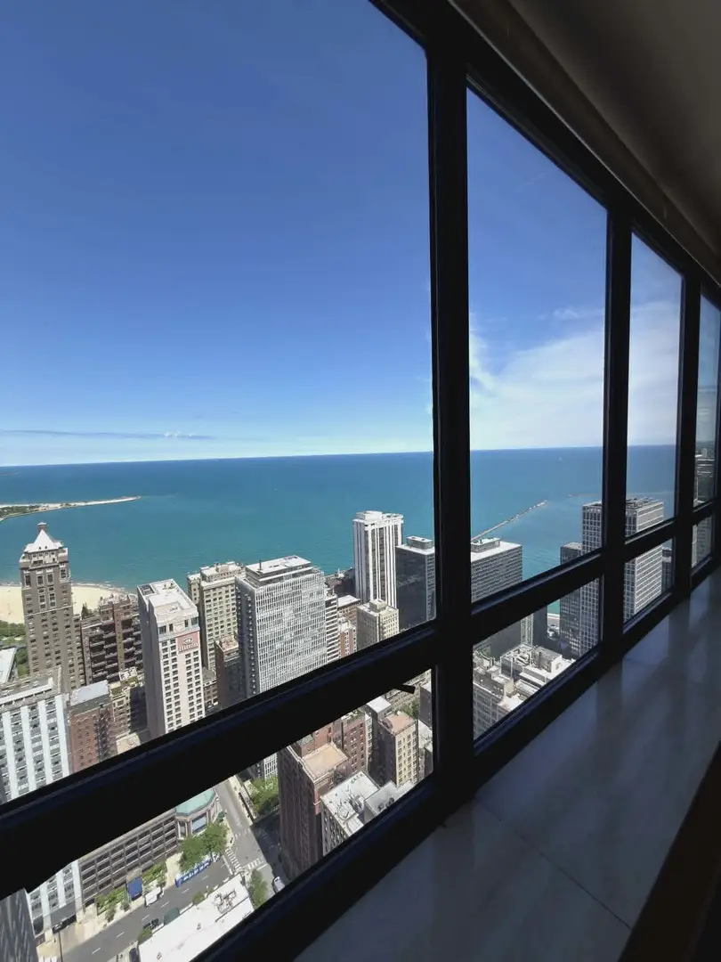 180 E Pearson Street #4202, Chicago, IL 60611 - #2