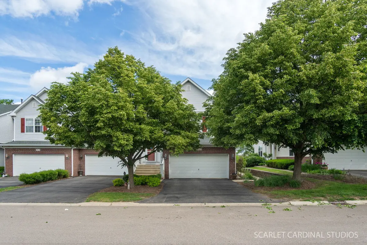 217 Ridge Road, North Aurora, IL 60542 - #1
