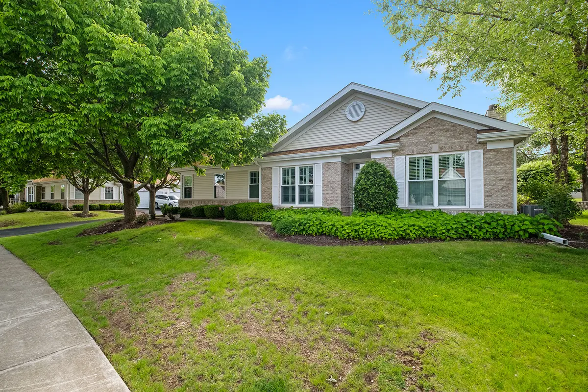 21445 W Douglas Lane, Plainfield, IL 60544 - #1