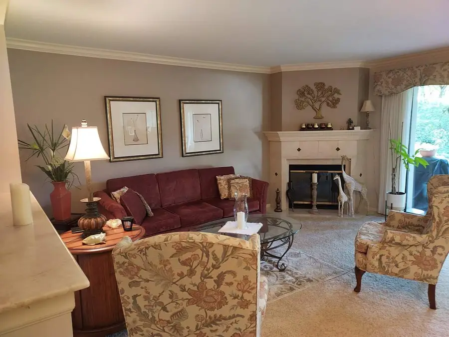 347-D Hickory Lane #C-445, Lake Barrington, IL 60010 - #3
