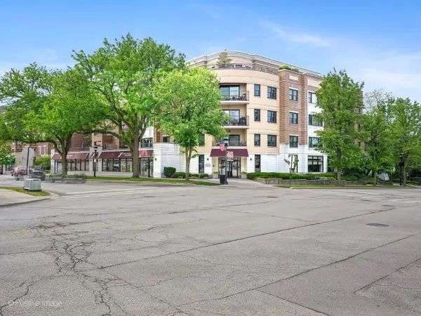 586 Crescent Boulevard #304, Glen Ellyn, IL 60137