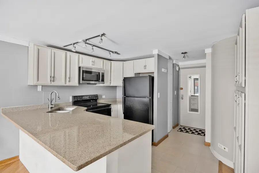 1221 N Dearborn Street #206S, Chicago, IL 60610 - #3