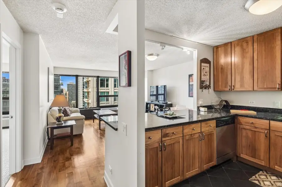 30 E Huron Street #2506, Chicago, IL 60611 - #3