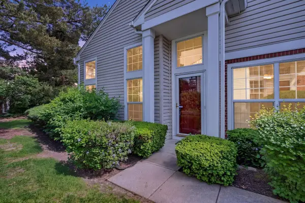 782 Old Checker Road, Buffalo Grove, IL 60089