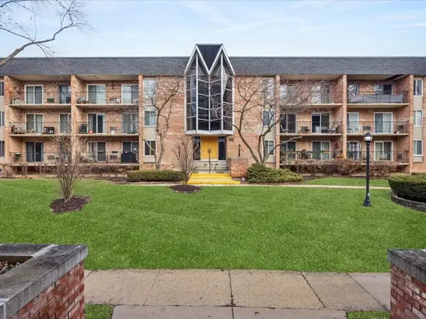 1041 N Mill Street #307, Naperville, IL 60563