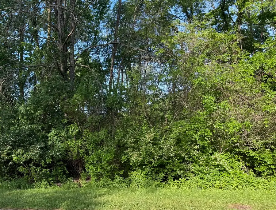 503/505 Mississippi Drive, Dixon, IL 61021 - #2