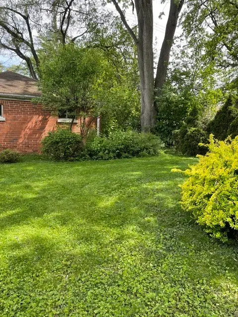 6505 N Minnehaha Avenue, Chicago, IL 60646 - #3