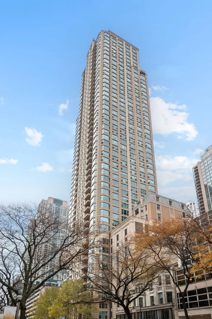 25 E Superior Street #3601, Chicago, IL 60611 - #2