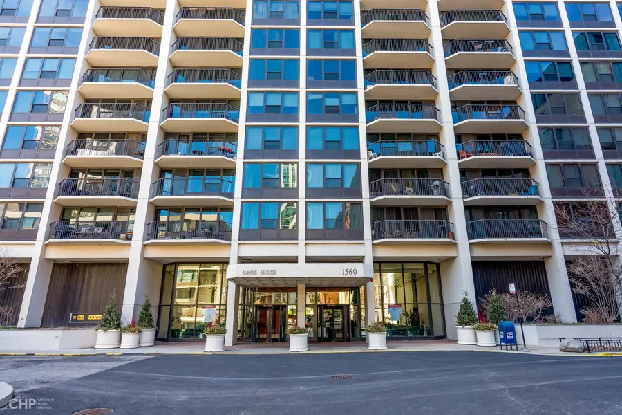 1560 N Sandburg Terrace #1405, Chicago, IL 60610 - #3