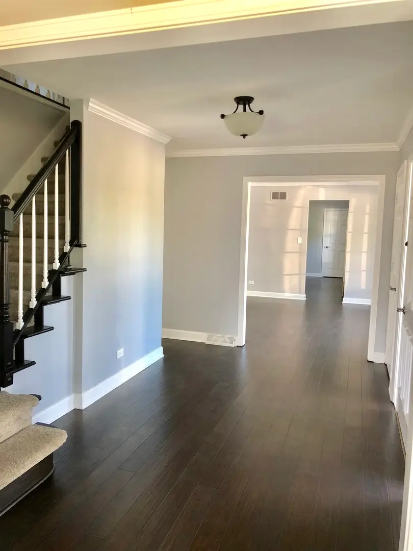 10S450 Windjammer Lane, Naperville, IL 60564 - #2