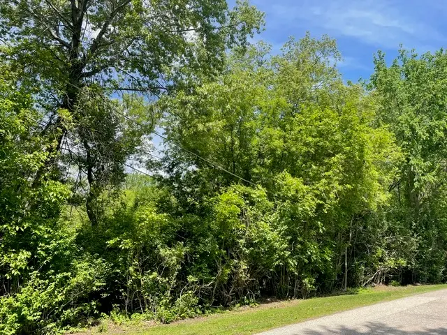 Lot 0 Pine Street S, McHenry, IL 60051 - #2