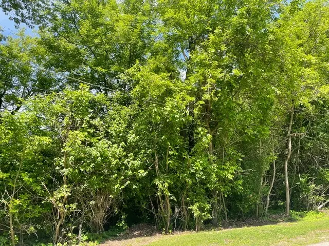 Lot 0 Pine Street S, McHenry, IL 60051 - #3