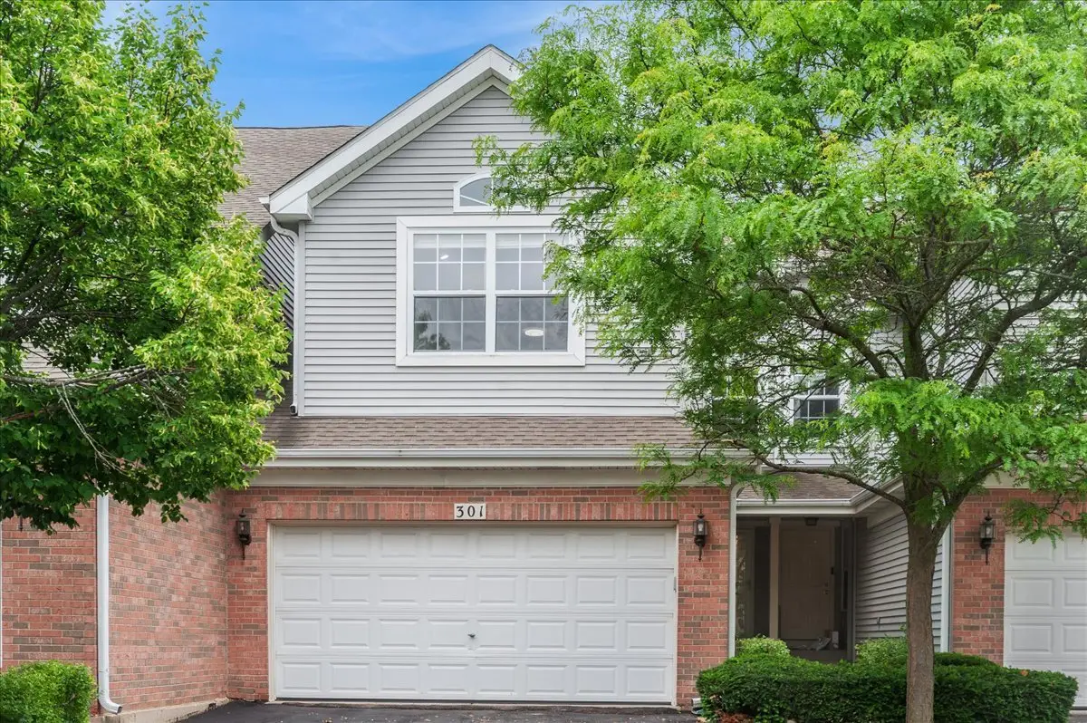 301 Lucille Lane, Schaumburg, IL 60193 - #1