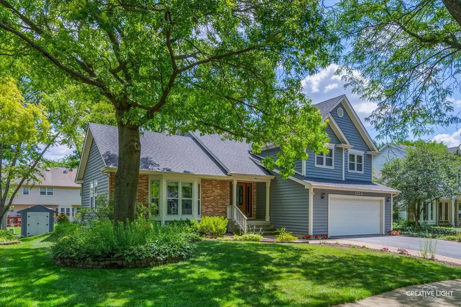 1234 Oakton Lane, Naperville, IL 60540 - #2