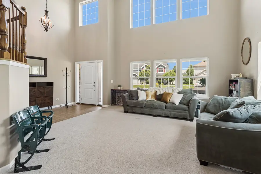 25209 Scott Drive, Plainfield, IL 60544 - #3
