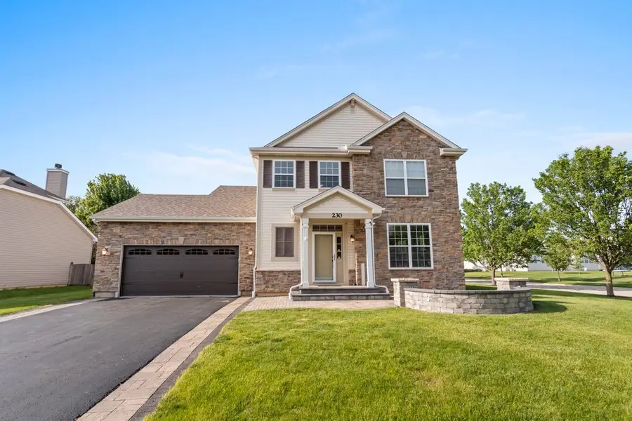 230 Liszka Lane, Oswego, IL 60543 - #2