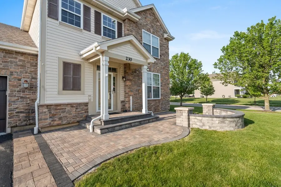 230 Liszka Lane, Oswego, IL 60543 - #3