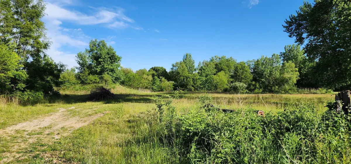574 Caleb Road, Braidwood, IL 60408 - #1