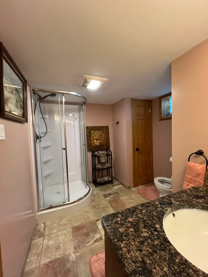 17810 Chicago Avenue, Lansing, IL 60438 - #3