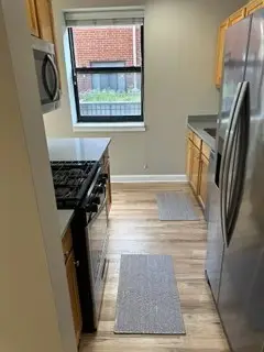 1529 S State Street #4B, Chicago, IL 60605 - #3
