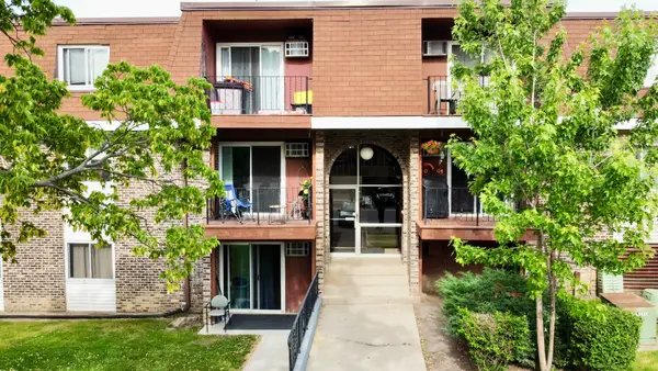 1085 Knoll Lane #207, Hoffman Estates, IL 60194