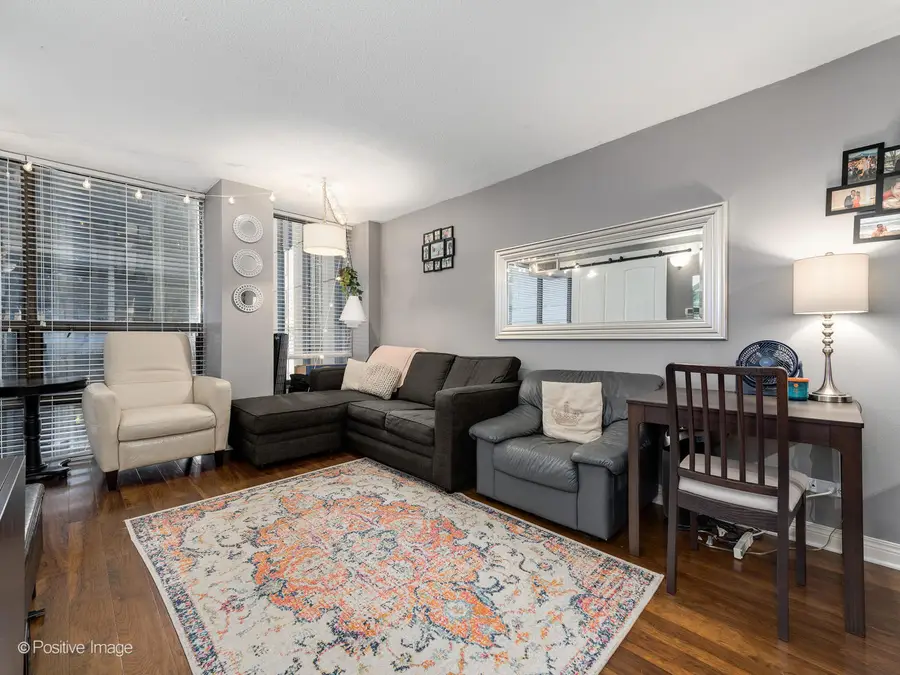 230 E Ontario Street #503, Chicago, IL 60611 - #3