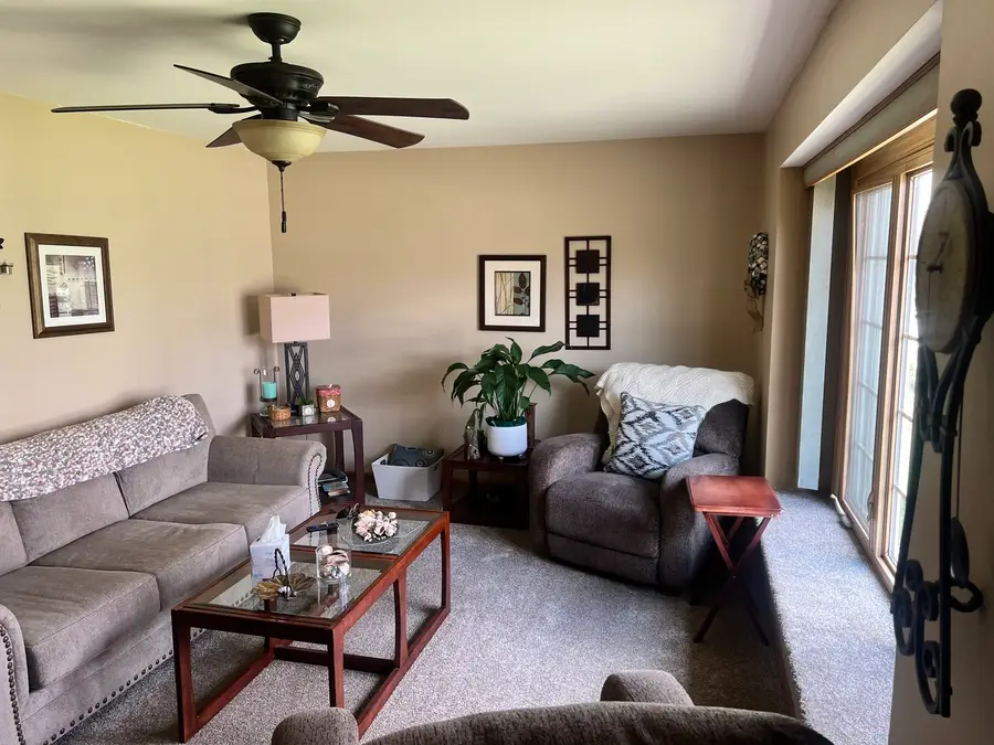 22548 Lakeshore Drive, Richton Park, IL 60471 - #3