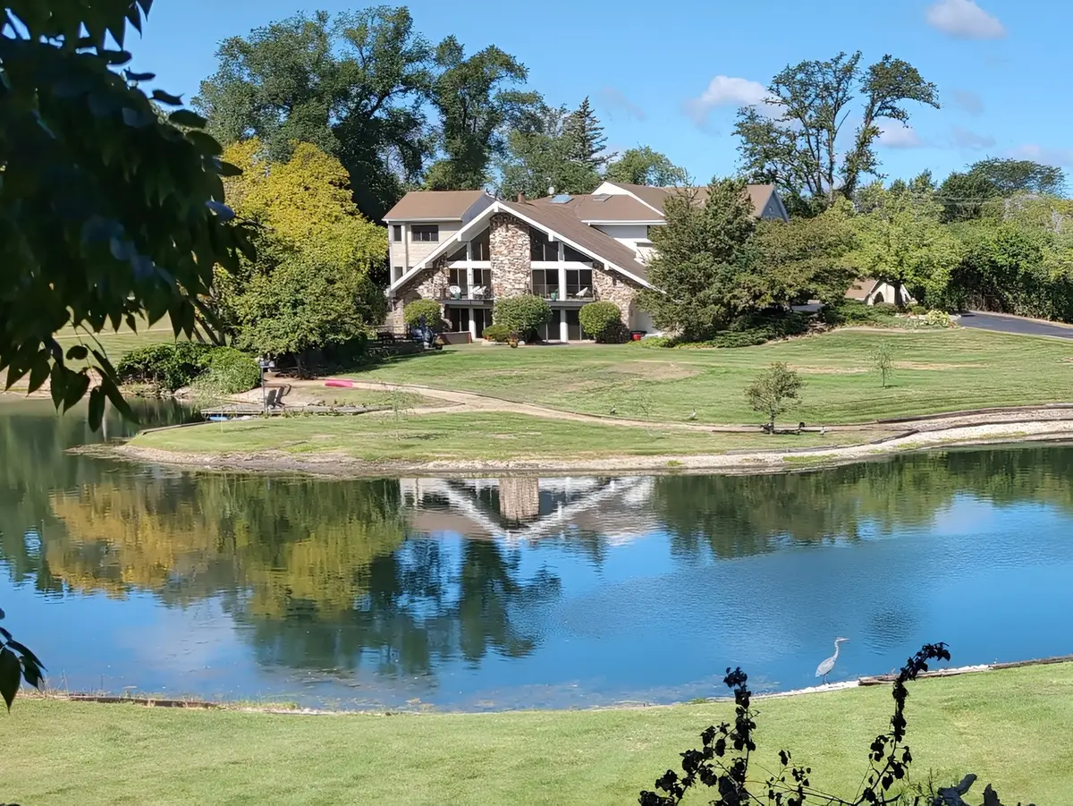 20450 N Meadow Lane, Deer Park, IL 60010 - #1