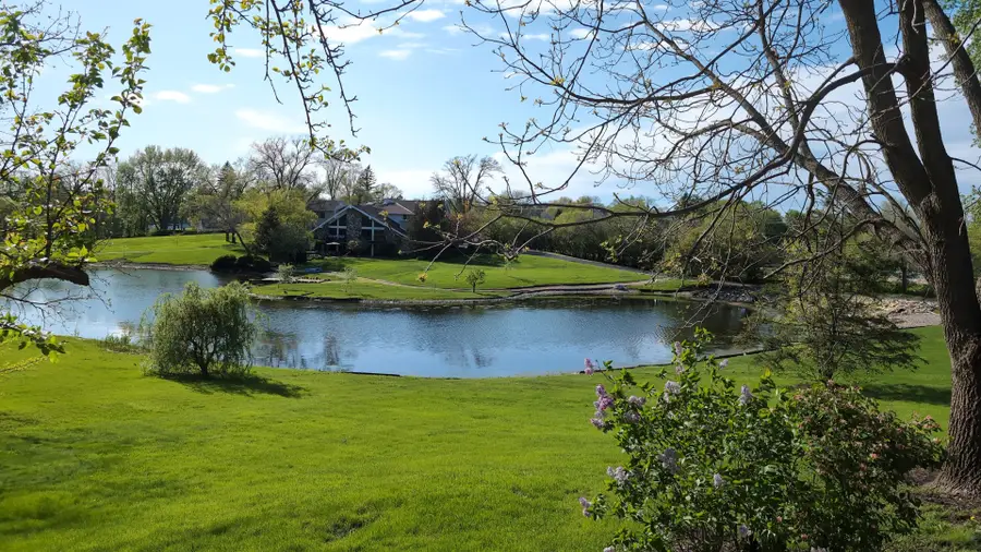20450 N Meadow Lane, Deer Park, IL 60010 - #2