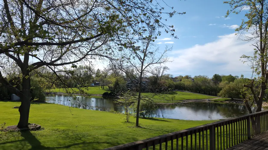 20450 N Meadow Lane, Deer Park, IL 60010 - #3